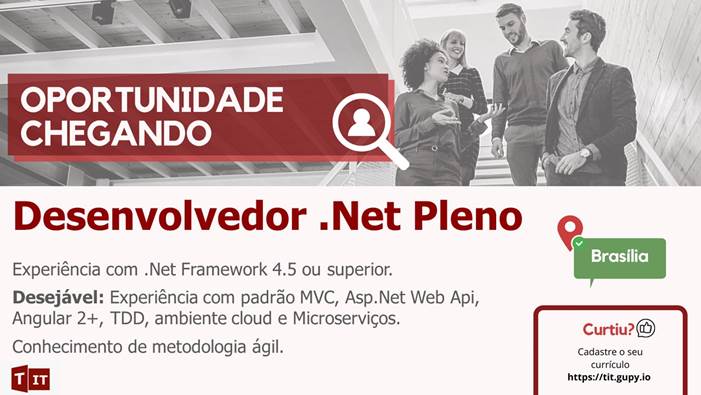 Desenvolvedor .Net Pleno