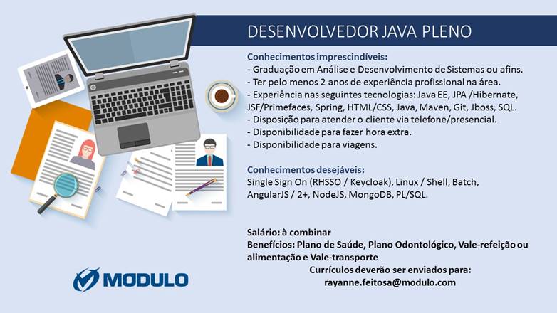 VAGA DESENVOLVEDOR JAVA PLENO